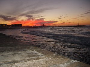  Casablanca 