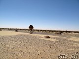  Guelb er Richat Richtung Site D’Agweidir 