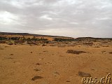  Guelta de Taoujafet (mit Felszeichnungen) 