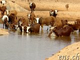  Guelta de Matmata 