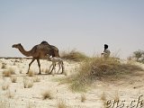  Moudjeria - Bou Naga 