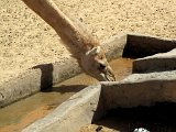  Brunnen : Bou Naga - Nouakchott 