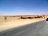  Richtung Nouakchott 