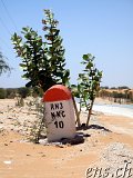  10 km bis Nouakchott 