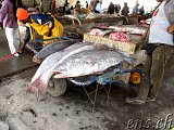  Fischerei-Hafen Nouakchott 