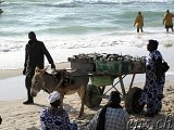 Fischerei-Hafen Nouakchott 