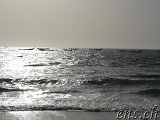  Fischerei-Hafen Nouakchott 
