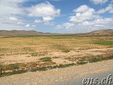  Tantan Richtung Agadir 