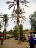  Camping Douz - Das Wetter wird besser ;-) 