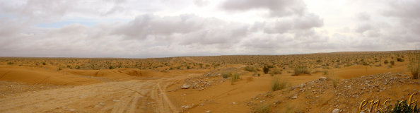  Douz - Ksar Ghilane 