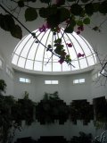  Hotel Aziza, Hammamet 