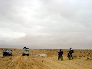  Douz Richtung Ksar Ghilane 
