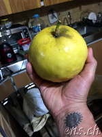 Riesen Maracuja ;-)