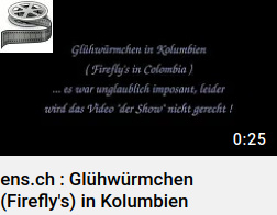 Glühwürmchen - Fireflys, Kolumbien