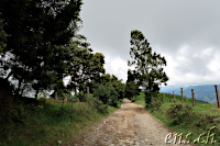 Fahrt zum Cerro Machin
