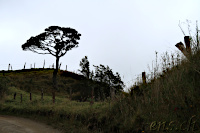 Fahrt zum Cerro Machin