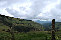 Fahrt zum Cerro Machin
