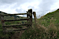 Fahrt zum Cerro Machin