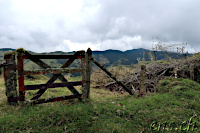 Fahrt zum Cerro Machin