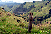 Fahrt zum Cerro Machin