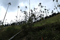 ... weiter zum Cerro Machin