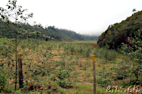 Cerro Machin Uno