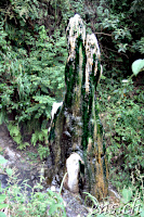 Stalagmit beim Vulkan Cerro Machin