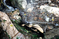 Stalagmit beim Vulkan Cerro Machin