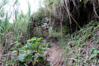 Stalagmit beim Vulkan Cerro Machin