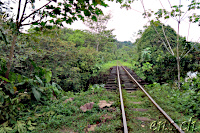 San Cipriano