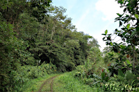San Cipriano