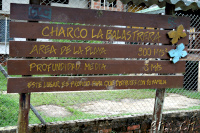 San Cipriano