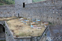 Tatev Monastery