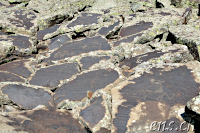 Ughtasar Felsbilder (Petroglyphs)