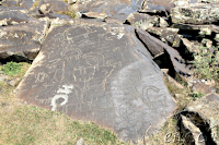 Ughtasar Felsbilder (Petroglyphs)