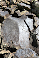 Ughtasar Felsbilder (Petroglyphs)