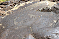Ughtasar Felsbilder (Petroglyphs)
