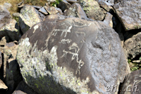 Ughtasar Felsbilder (Petroglyphs)