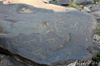 Ughtasar Felsbilder (Petroglyphs)