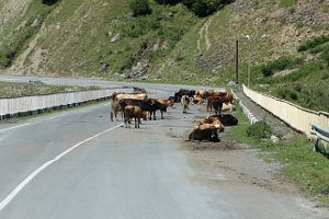 Richtung Stepantsminda / Kasbegi - Georgien