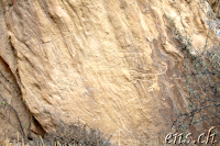 Qobustan Petroglyphs