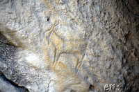 Qobustan Petroglyphs