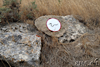 Qobustan Petroglyphs