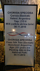Baku