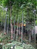 Lingyin-Tempel