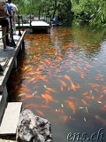 Hangzhou & Umgebung