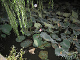 Hangzhou