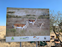 Waschlowani / Vashlovani-Nationalpark