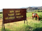  Bafa-Gölü 