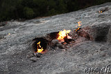  Chimaera 